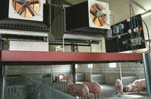 4. Toepassing luchtwassystemen binnen de veehouderij Luchtwassystemen zijn beschikbaar voor de sectoren rundvee, varkens, pluimvee en konijnen. In de paragrafen 4.1 tot en met 4.