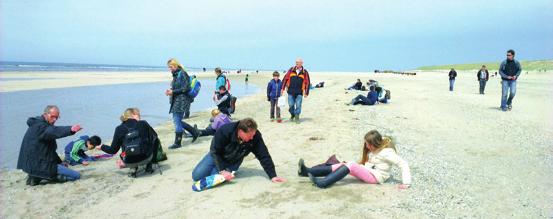 Schaafsel van dit gesteente wijst op menselijke activiteit. Wolharige mammoet 4.