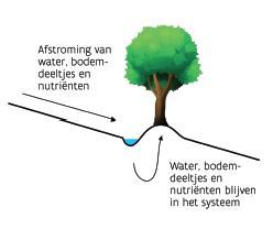 combinatie van greppel en kleine berm parallel met de hoogtelijnen