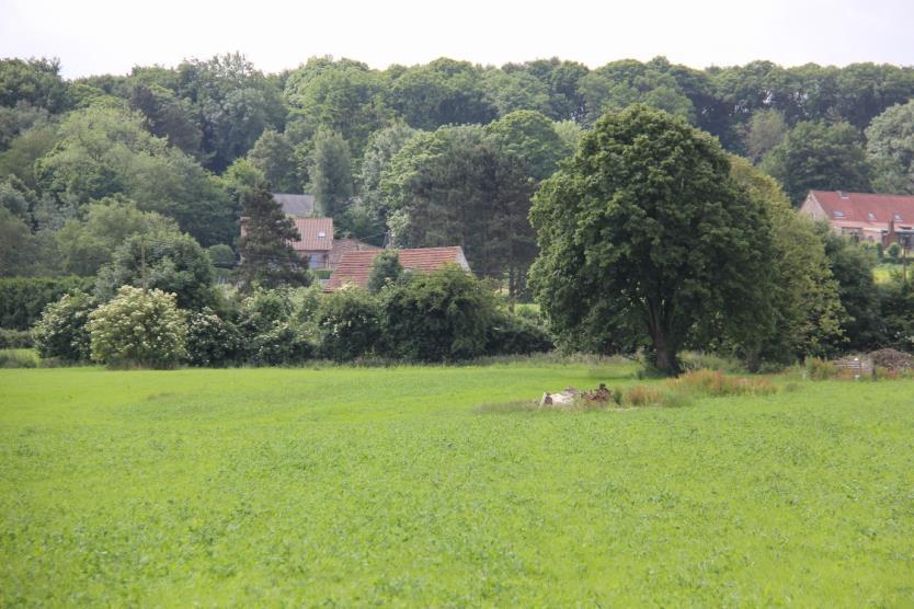 Microklimaat, koolstofvastlegging, buffering tegen schadelijke