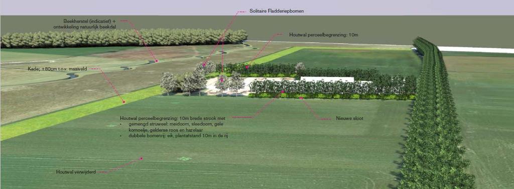 Figuur 5 Visualisatie van kade en landschappelijke inpassing (Bosch Slabbers, 2017) 2. Verwijderen perceelsdrainage Op een aantal percelen is reguliere drainage aanwezig.