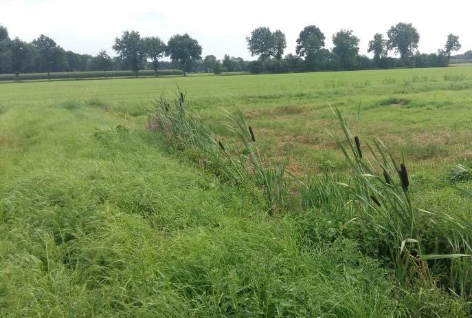 Figuur 2 Huidige situatie projectgebied "Verbetering waterhuishouding Broekdijk 6" Beschrijving van de waterstaatswerken (= gewenste situatie) Deze paragraaf geeft een overzicht van alle