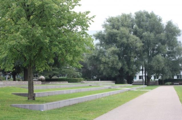 Uitwerking maatregelen op hoofdlijnen Reorganisatie padenpatroon Het bestaande padenpatroon (in half-verharding) verbeteren als een historische parkaanleg in landschapsstijl met een rondwandeling: