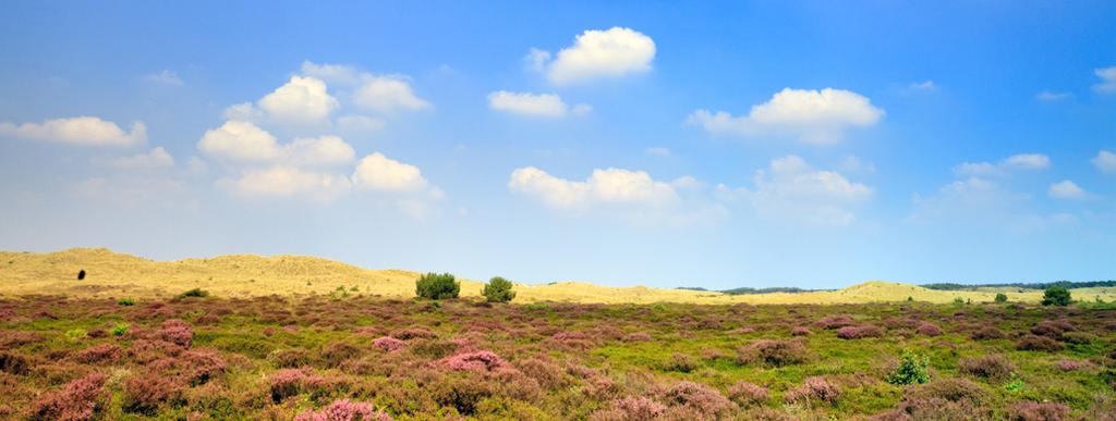 Heide en duinen zijn natuurtypen op de beheertypenkaart lieren vaak lastiger is om de inrichting zelf op te pakken.