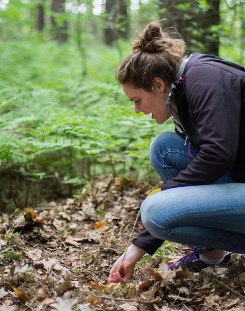 Kwaliteitsbeoordeling in het veld Monitoring en handhaving op beheer Om te kunnen oordelen of beheer adequaat is en natuurdoelen worden gerealiseerd, is monitoring van soorten een belangrijk