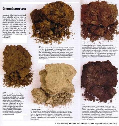Andere grondsoort, variabele EC Eenzelfde ras telen op kleigrond of zandgrond resulteert in een ander aantal stengels per struik.