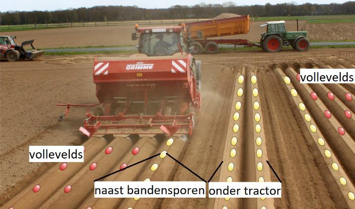 2.1.3 Spuitpaden variabel poten In het aardappelveld zijn spuitpaden aanwezig voor de nodige behandelingen. Dit is een oppervlakte die het gewas niet kan benutten.