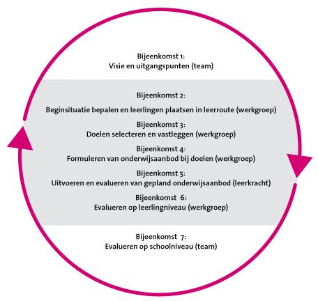 Figuur 3. Implementatie cyclus Passende perspectieven.