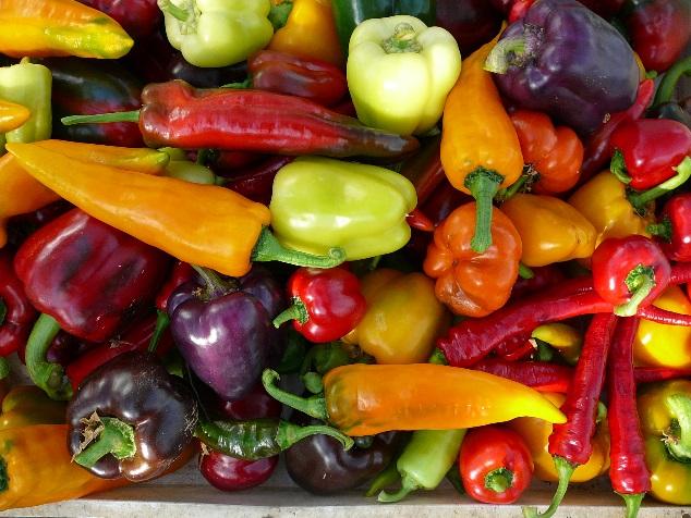 Practicum Verdelen in groepjes Per groep tomaten/paprika s en