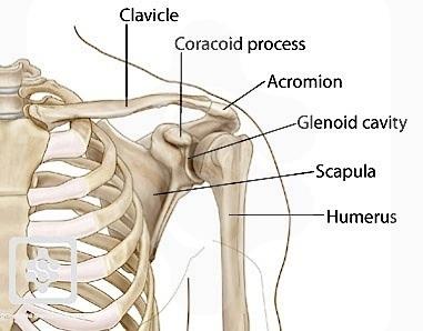 CASE: SPORT SPECIFIC INJURIES E.G.