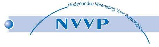 PERSPROTOCOL Nederlandse Vereniging Voor Pathologie Vastgesteld 8 april 2010 HOOFDLIJNEN De NVVP stelt zich ten doel de beeldvorming van het vakgebied van de (klinisch) pathologie positief te