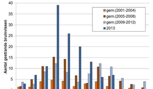 Onderwaterleven Figuur 7.12 Gemiddeld aantal gestrande bruinvissen per maand van 2001 tot 2013. Data 2013 t.e.m. september (data KBIN, niet gepubliceerd).