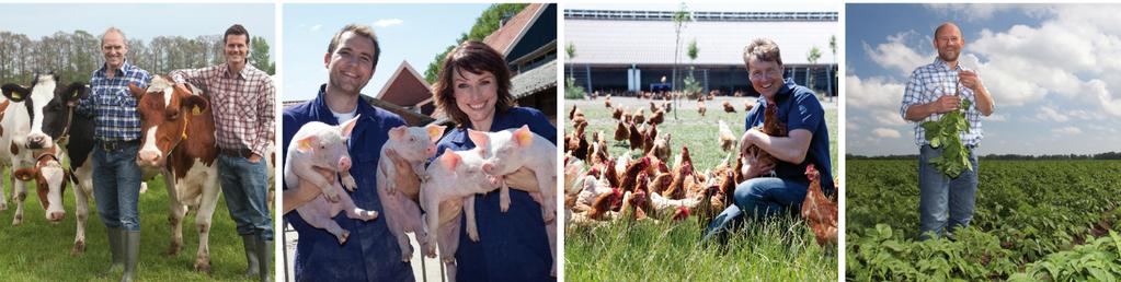 BOEREN MET AMBITIE Vitale coöperatie