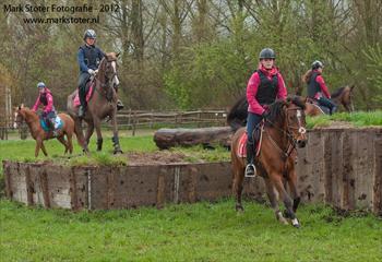 Daarom organiseren we op zaterdagochtend 13 april een terreintraining. Voor beginners en gevorderden, paarden en pony s, onder leiding van Wieneke Hadderingh.