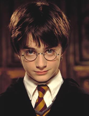 Het kampthema: Harry Potter Harry Potter is de zoon van James en Lily Potter. Harry lijkt sprekend op zijn vader, maar heeft de ogen van zijn moeder.