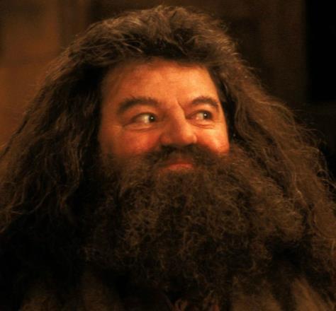 Rubeus Hagrid is de terreinknecht en sleutelbewaarder van Zweinstein. Hagrid is half reus en half mens, waardoor hij heel groot is.