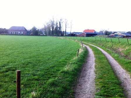 Verbeelding van aanplant van drie solitaire zomereiken in de wegberm van de zandweg. Ter veiligstelling van de bomen wordt het raster iets teruggeplaatst ter hoogte van de jonge bomen.