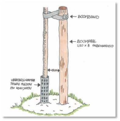 9. Inrichting 9.1 Algemeen De wijze van inrichting bepaalt in grote mate de kwaliteit van de toekomstige beplanting.