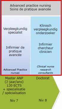 Verpleegkundig consulent Werkzaam binnen afgebakend kader, samen met verpleegkundig specialist en/of