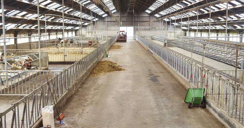 VABIMPULS Eigenaren bezig met hun nieuwe toekomst Pieter Verschure is eigenaar van enkele leegstaande stallen in het buitengebied. Daar startte hij een boerderij voor dagrecreatie.