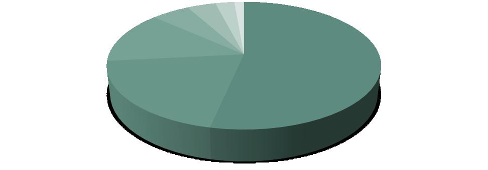 We verwachten dat de herkomst van de groepen er als volgt uit zal zien: 10 15 4 3 2 1 40 Studenten Kerken Jongeren Overigen Bedrijven Scholen Gezinnen Wageningen is een sociale, betrokken gemeente.