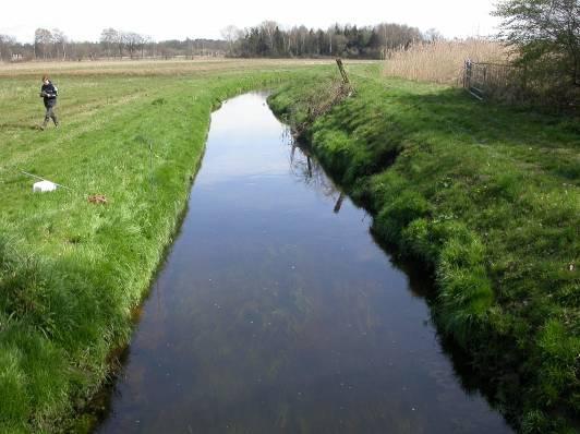 Alleen Sterrenkroos in lage abundantie. Locaties Bornsebeek Bo-MF-01 / Bo-VE-01 / Bo-VI-01 Elsbeek; WRD meetpunt 20_038. Bovenstrooms Kettingbrugweg, Hengelo. Coördinaten (x-y): 252.787-474.