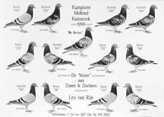Inderdaad het uithangbord van deze kolonie in De Lier en synoniem voor een klasse van duiven die met gemak winnen tegen de massa.