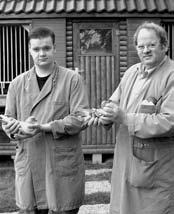 DE DUIF - van Venrooij - blz. 22 De rij gelukten met van Venrooij-duiven neemt onderhand immense vormen aan. In België zijn het kampioenen als Eric Limbourg en Eddy Sucessen elders!