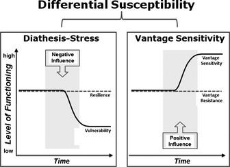 sensitivity Kinderen met sensitiviteitsgenen ervaren sterkere positieve effecten bij positieve omgeving/invloeden.