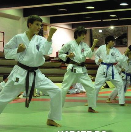 GEVECHTSSPORT Gevechtssportclub Budo Research Centrum Karate-do, Kobudo,