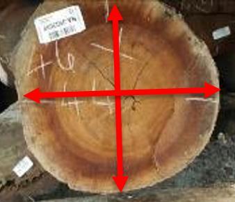 Meten onder de bast In het geval dat een houtsoort een bast heeft wordt deze bast niet meegenomen in de meting van