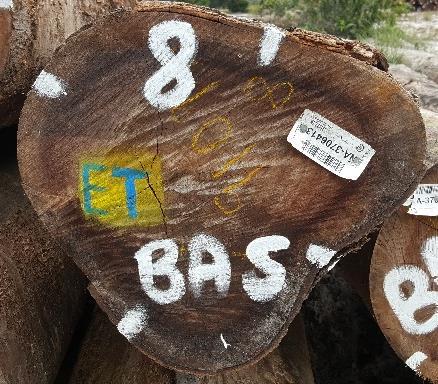 Het wordt door SBB aangeraden om op het hout ook aan te geven waar de diameters gemeten zijn.