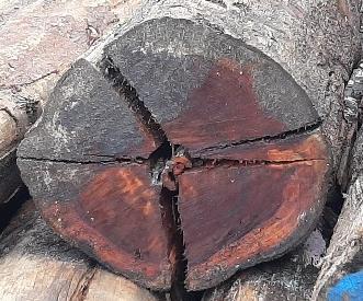 Bij het opslaan van hout kan het voorkomen dat hout gaat splijten, wat zorgt voor