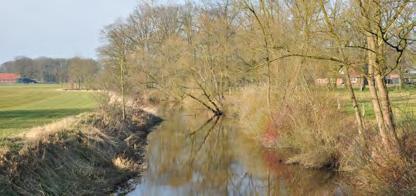Het gebied is van regionale betekenis als broedgebied voor weidevogels (hier broedt de grootste populatie grutto s van Twente) en als overwinteringsgebied voor veel water vogels.