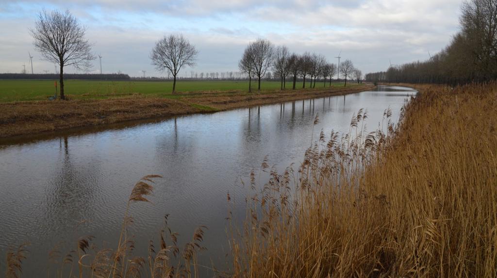 De geschiktheid is getoetst aan de hand van de volgende criteria: kansen voor de beoogde natuurwaarden op de locatie zelf; aansluiting bij bestaande natuur; mogelijkheden voor realisatie binnen 3