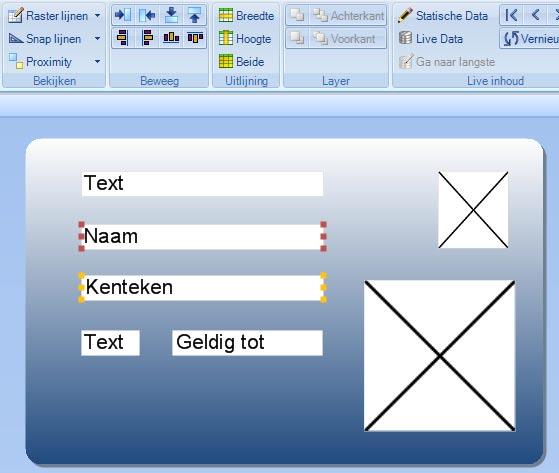 Positionering / groeperen van Items Wij hebben al gekeken naar het tekenrooster (Grid & Snap). De Move en Alignment functies werken op een of meerdere velden tezelfdertijd.