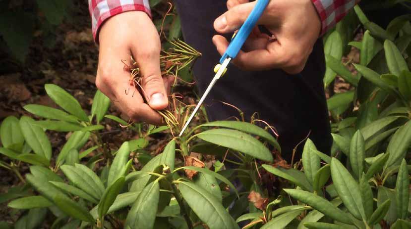 Inventarisatie Als u een onderhoudsabonnement voor uw tuin wilt dan komen we eerst uw tuin