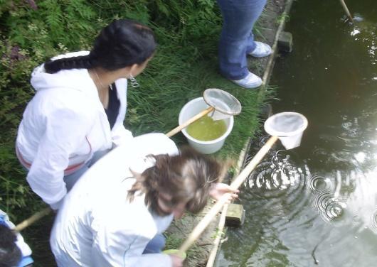 Water leeft! Wat een leuke manier om kennis te maken met het leven onder water!