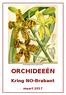 Grammatophyllum speciosum ORCHIDEEËN. Kring NO-Brabant