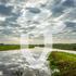 de Vecht, uitwerking van halfnatuurlijke rivier