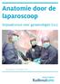 Anatomie door de laparoscoop. Snijzaalcursus voor gynaecologen (i.o.)