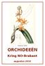 Prosthechea vitellina ORCHIDEEËN. Kring NO-Brabant