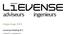 Rapportage Lievense Holding B.V. 1 januari december 2018