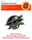 Nr Nieuwsbrief - Newsletter. Merry Christmas Feliz Navidad, Joyeux Noël Zalig Kerstfeest, Fröhliche Weihnachten
