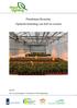 Plantbalans Bromelia: Optimale benutting van licht en warmte