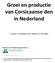 Groei en productie van Corsicaanse den in Nederland