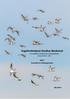 Vogeltrektelpost Dordtse Biesbosch Een vergelijkend onderzoek over trekvogeltellingen in de jaren