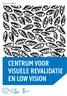 INFO VOOR PATIËNTEN CENTRUM VOOR VISUELE REVALIDATIE EN LOW VISION