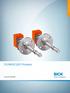 Online-datasheet. FLOWSIC100 Process GASFLOWMETERS