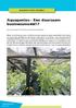 Aquaponics - Een duurzaam businessmodel!?